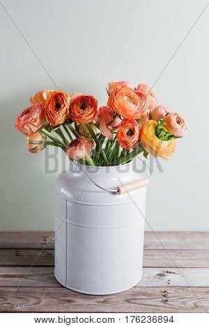 Orange and yellow persian buttercup flowers. Curly peny ranunculus in gray vintage can, copy space.