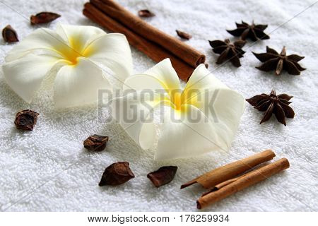 Flowers of plumeria with stars of anise and cinnamon sticks on the white background for spa theme.