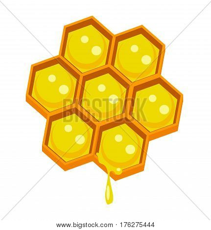 Honeycomp with sweet tasty gold liquid honey