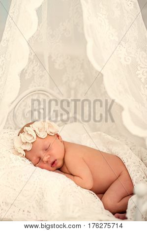 Ideas for newborn photo shoot. Newborn girl sleeping on the tummy to decorative crib. Portrait of a sleeping newborn girl with floral bandage on his head covered with delicate tippet