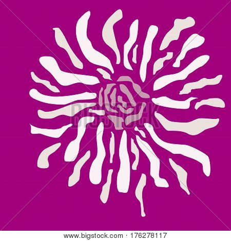 Beautiful stylish flower on a pink background