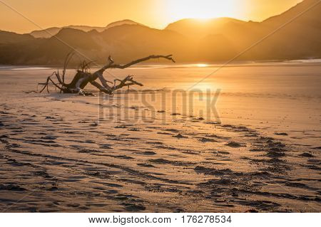 Wharariki Beach at sunset, South Island, New Zealand