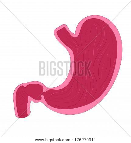 Health stomach for medical and educational diagram
