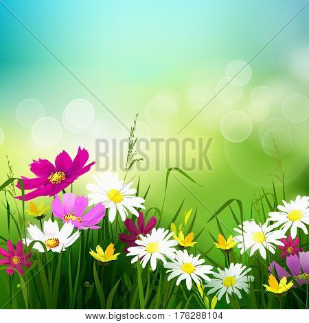 Hello, Summer Background