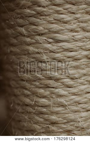 Esparto grass texture. Esparto background. Close up view of esparto texture and background. Abstract background and texture for designers. Old rope.