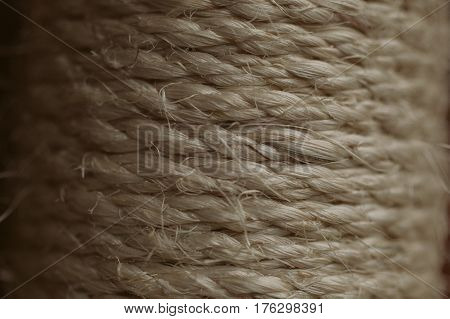 Esparto grass texture. Esparto background. Close up view of esparto texture and background. Abstract background and texture for designers. Old rope.