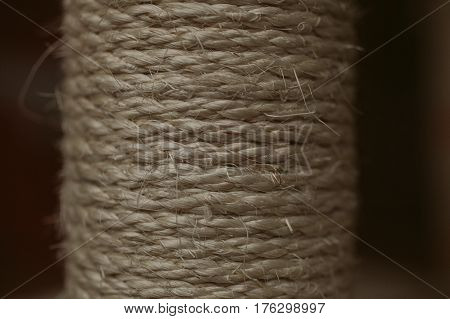 Esparto grass texture. Esparto background. Close up view of esparto texture and background. Abstract background and texture for designers. Old rope.