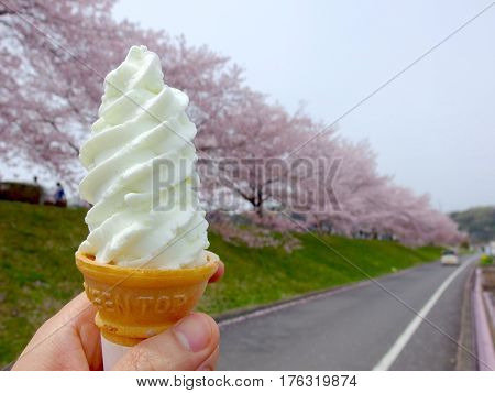 human hand hold a vanilla ice cream cone with cherry blossoms background