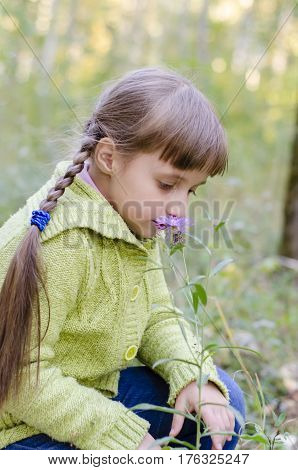 Little girl sniffs the last flowers in the fall in the park