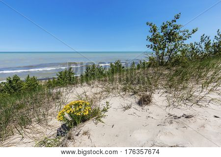 Sand Dune Ridge Looking Out Over Lake Huron - Pinery Provincial Park, Ontario, Canada