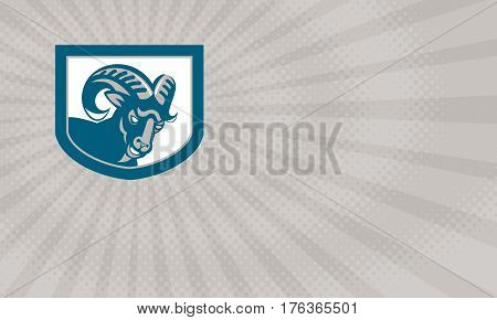 Business card showing Illustration of an angry ram mountain goat head facing front set inside shield done in retro style.