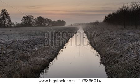 Nature conservation area in the morning with fog