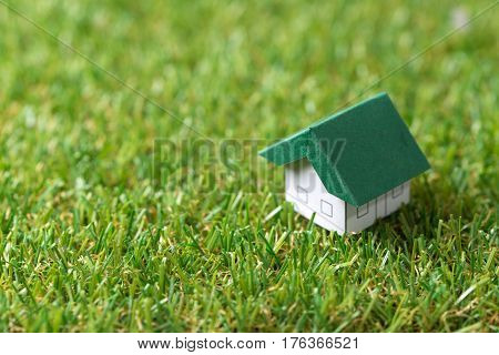 Eco Friendly House