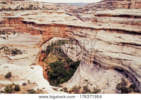Sandstone Sipapu Bridge Natural Bridges Nm Utah Us