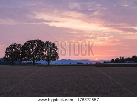 Colorful Sunset In Rural Farm Land