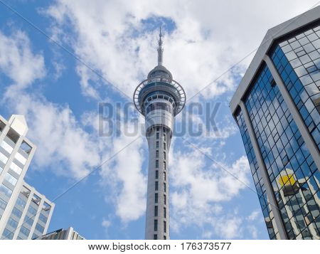 Iconic Sky Tower Modern Skyscrapers Auckland Nz
