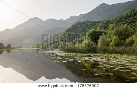 Lake Shkod also called Scutari, Skadar and Shkodra lies on the border of Albania and Montenegro, the largest lake in the Southern Europe