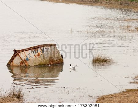 A submerged boat and a gull in the water next to it.