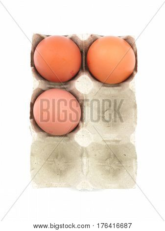 Organic egg in paperboard egg cartons isolated on white