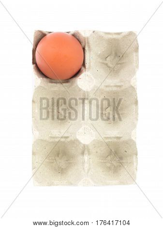 Organic egg in paperboard egg cartons isolated on white