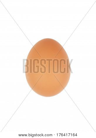 Organic one egg isolated on white background