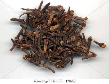 干的丁香