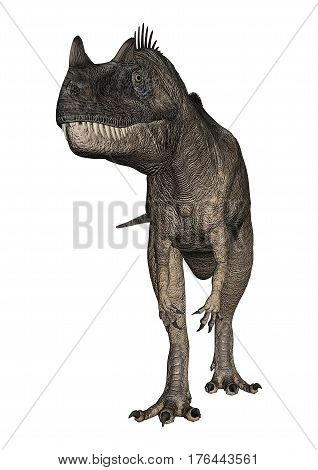 3D Rendering Dinosaur Ceratosaurus On White