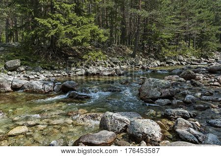 Beautiful view of the  Rila mountain with forest and river Iskar, Bulgaria