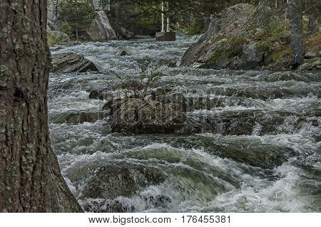 Beautiful view of the  Rila mountain with river Iskar close up, Bulgaria