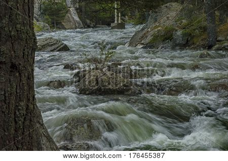 Beautiful view of the  Rila mountain with river Iskar close up, Bulgaria
