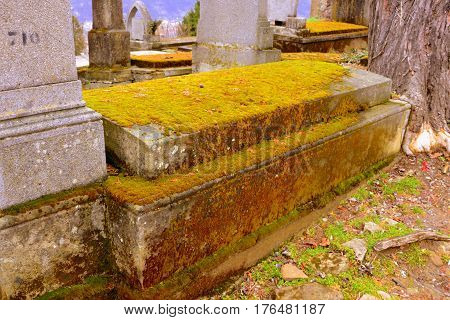 Cemetery of the Old medieval saxon lutheran church in Sighisoara, Transylvania, Romania