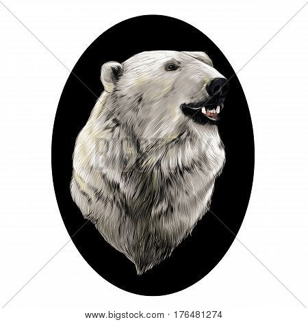 the head of the polar bear profile looking to the side sketch graphics vector colored pattern against the black circle of the oval
