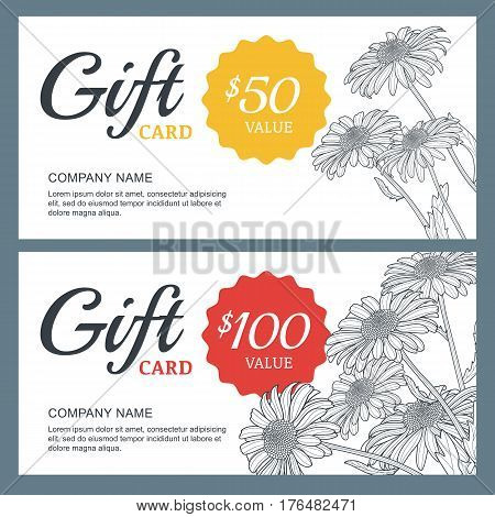 Vector Floral Gift Voucher Background Template. Vintage Outline Illustration Of Chamomile Flowers.
