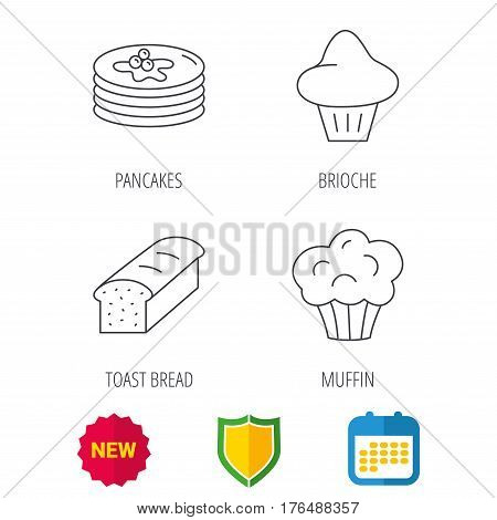 Pancakes, brioche muffin and toast bread icons. Cupcake linear sign. Shield protection, calendar and new tag web icons. Vector