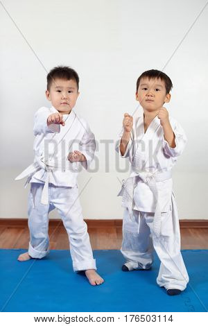 Two Boys Girls Demonstrate Martial Arts Working Together