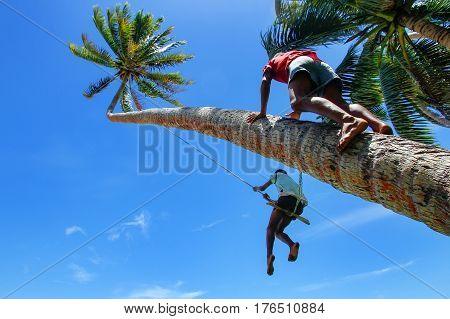 Local kids swinging on a rope swing in Lavena village Taveuni Island Fiji. Taveuni is the third largest island in Fiji.