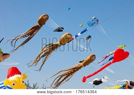 Various colorful kites flying in blue sky. Stingrays Koi fish quid and others.