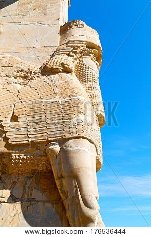 In Iran Persepolis