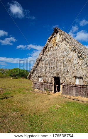 Typical barn on tobacco plantations.Barn used for curing tobacco. The Vinales valley Pinar del Rio Cuba