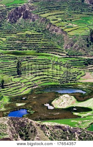 Rivitalo-kenttään Colca Canyon, Peru