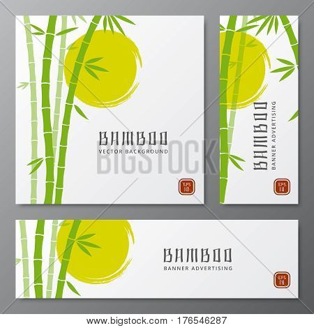 Asian bambu threes cards or japanese bamboo banners vector illustration. Asian plants on card, template of chinese traditional plant