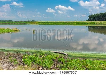 Summer landscape with lake Kozachy Liman in Chernetchina village Ukraine
