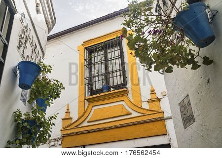 Cordoba (Andalucia Spain): old typical street in the Juderia: colorful window and potted plants