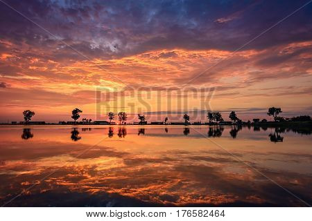 Colorful sunrise with trees silhouettes on the horizon