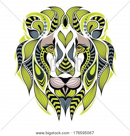 5 Lion