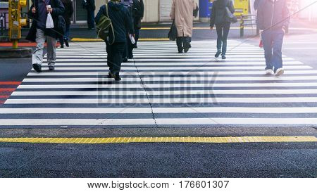 business and worker people walk on pedestrian crosswalk at the junction street of city with the white and yellow symbol signage traffic (bottom view)
