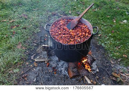 Cooking Homemade plum jam with a campfire on the ground