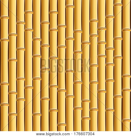 Brown Bamboo Stick Pattern Background. Vector illustration