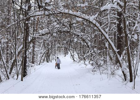 Forest and snow. Clean air and frosty day. People go along the path.