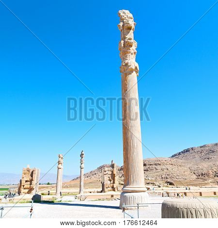 In Iran     Persepolis